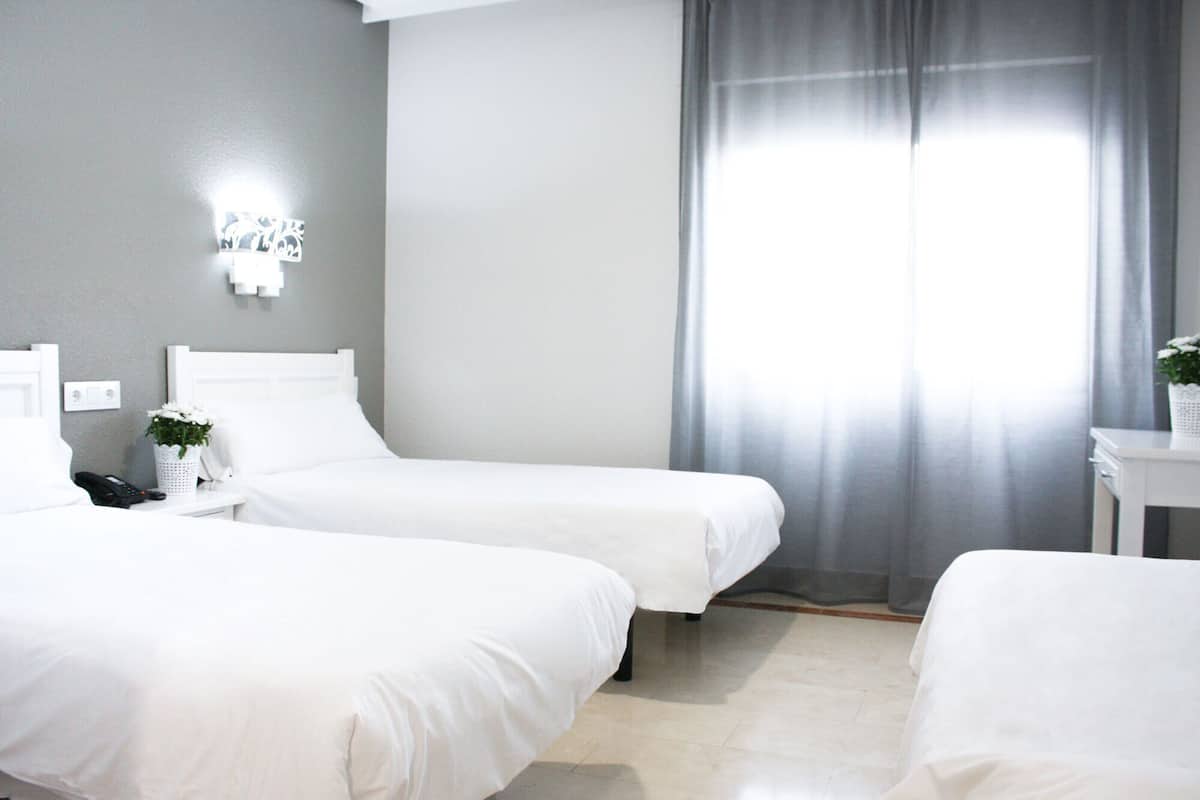A hotel room with two single beds, a bedside table with a lamp, a small plant, and a window with sheer curtains.