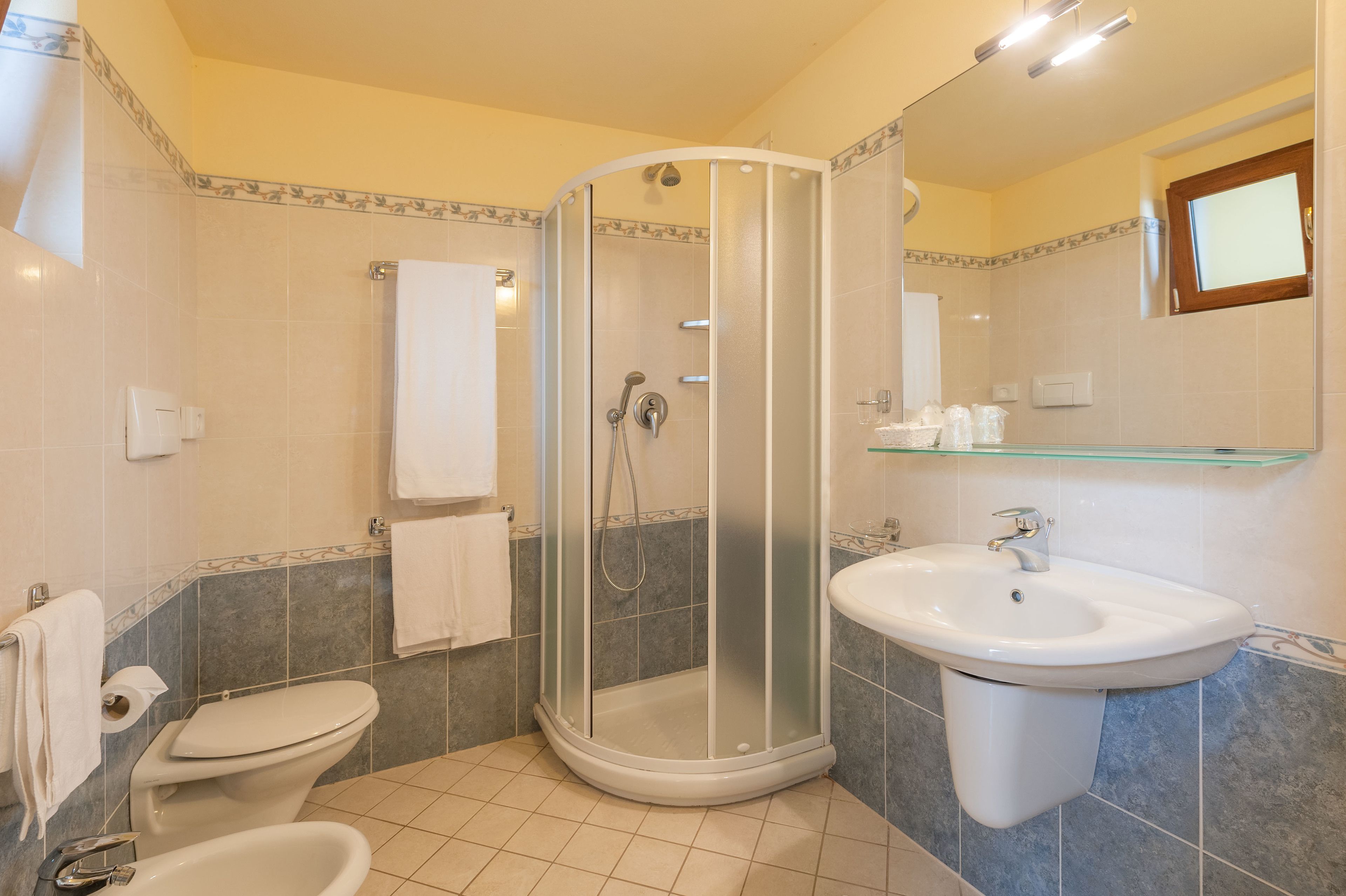 shower, free toiletries, hair dryer, bidet