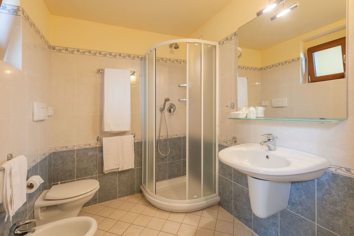 shower, free toiletries, hair dryer, bidet