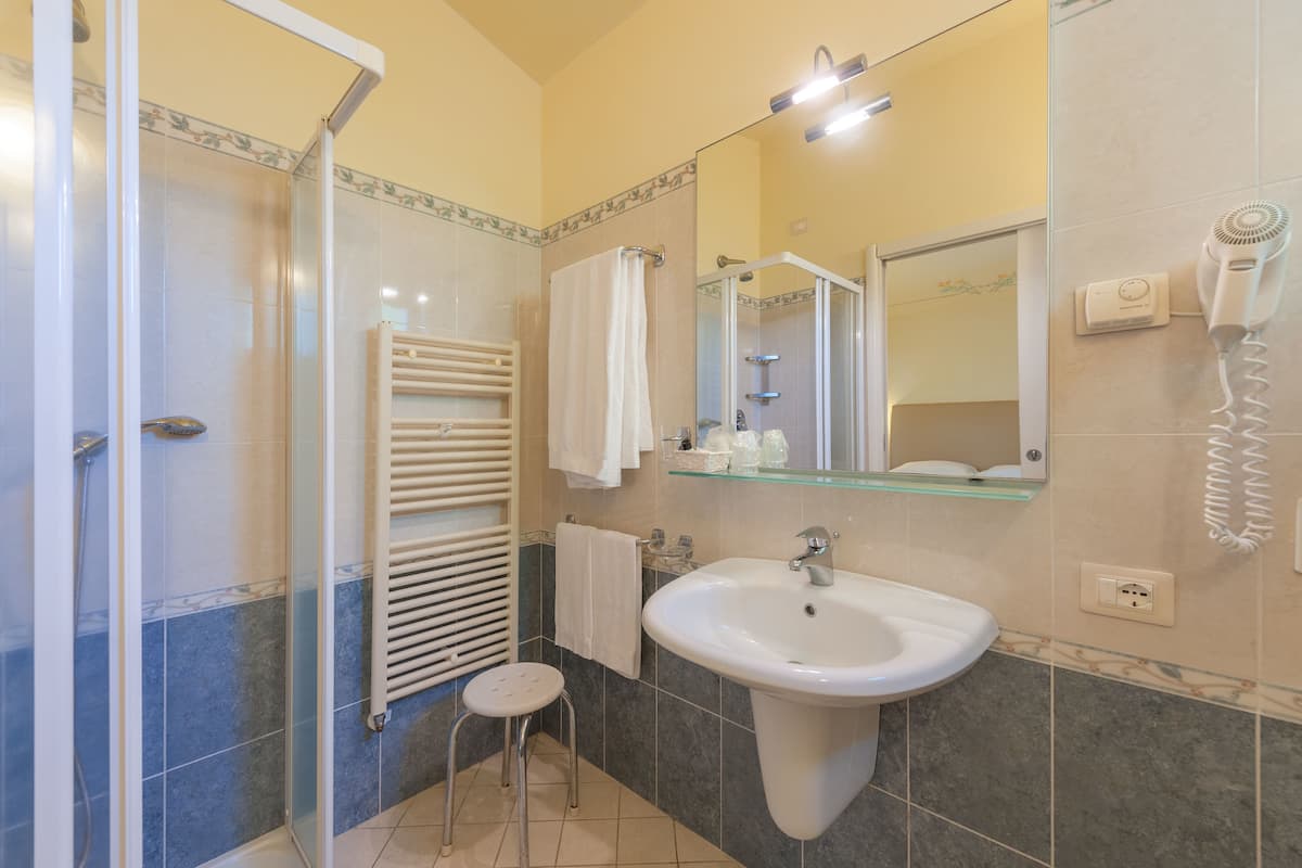 economy double room | bathroom | shower, free toiletries, hair dryer, bidet