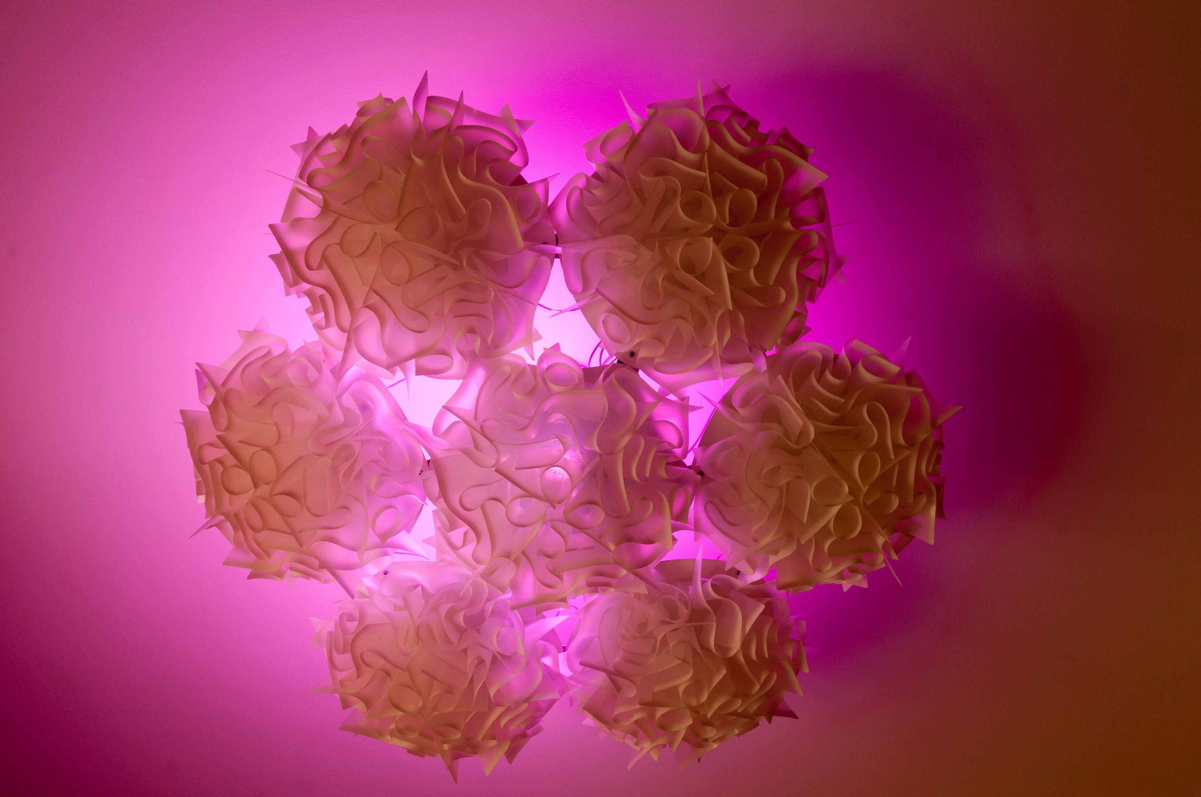 Foto - Brera Prestige B&B