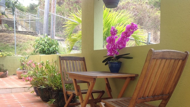 A wooden table and chairs set against a yellow wall, with a potted plant on the table. - BK Villas (Maxwell)