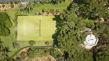 Vista aérea de una cancha de tenis rodeada de exuberante vegetación y una palmera.