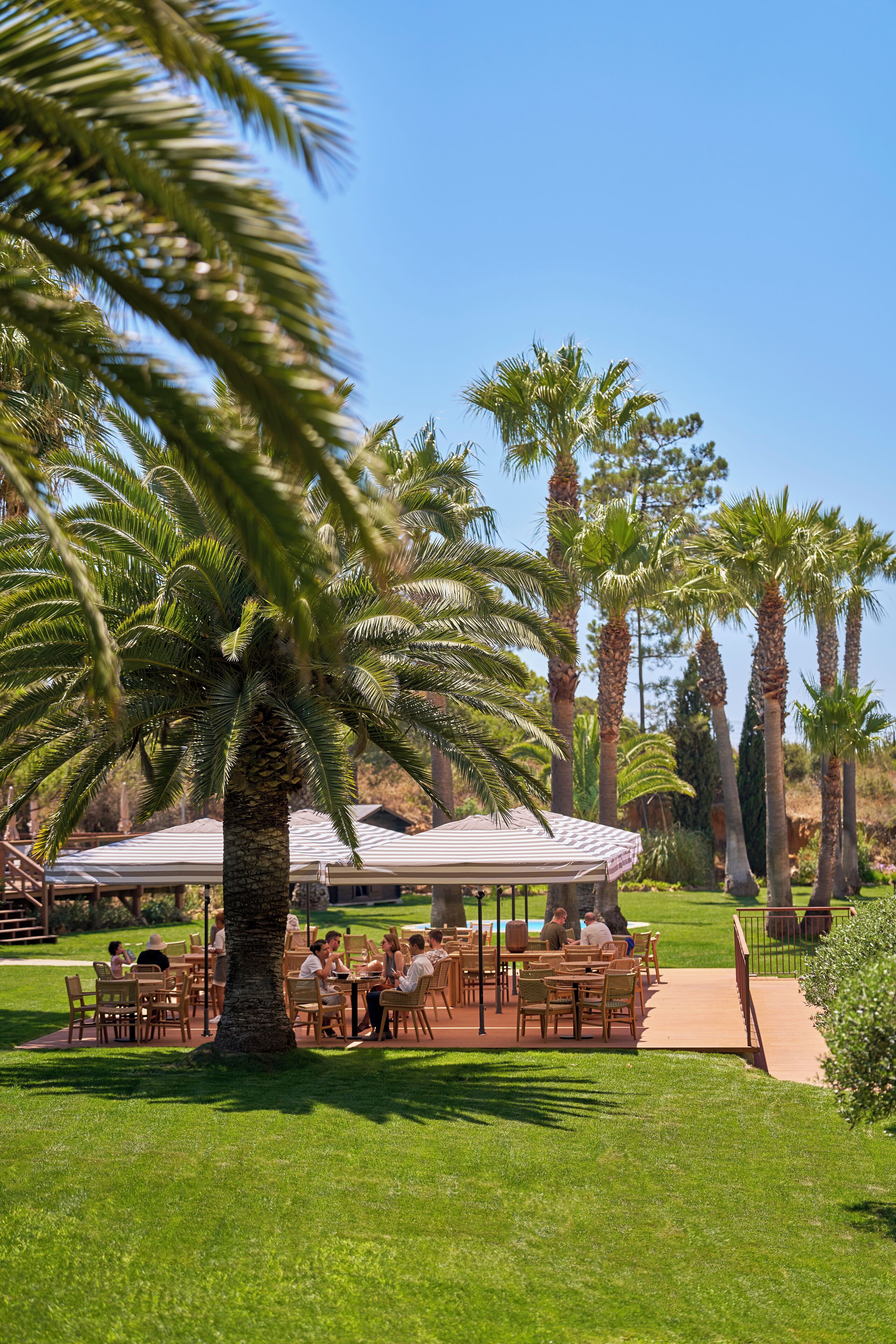 A patio area with tables and chairs, surrounded by palm trees.
