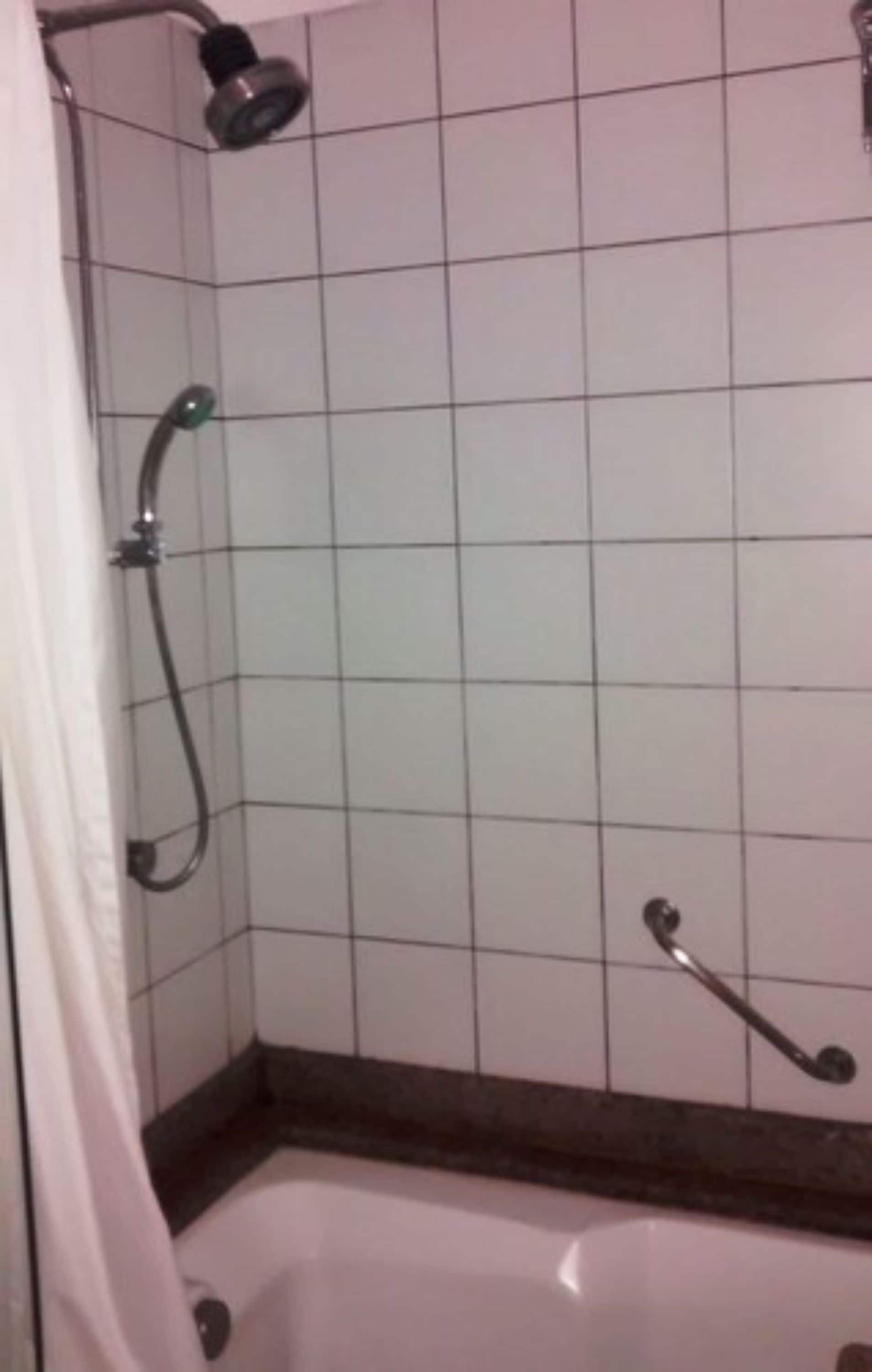 A shower area with a handheld showerhead and a handheld sprayer.