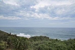 Paisaje costero con olas del océano, vegetación exuberante y cielo nublado.