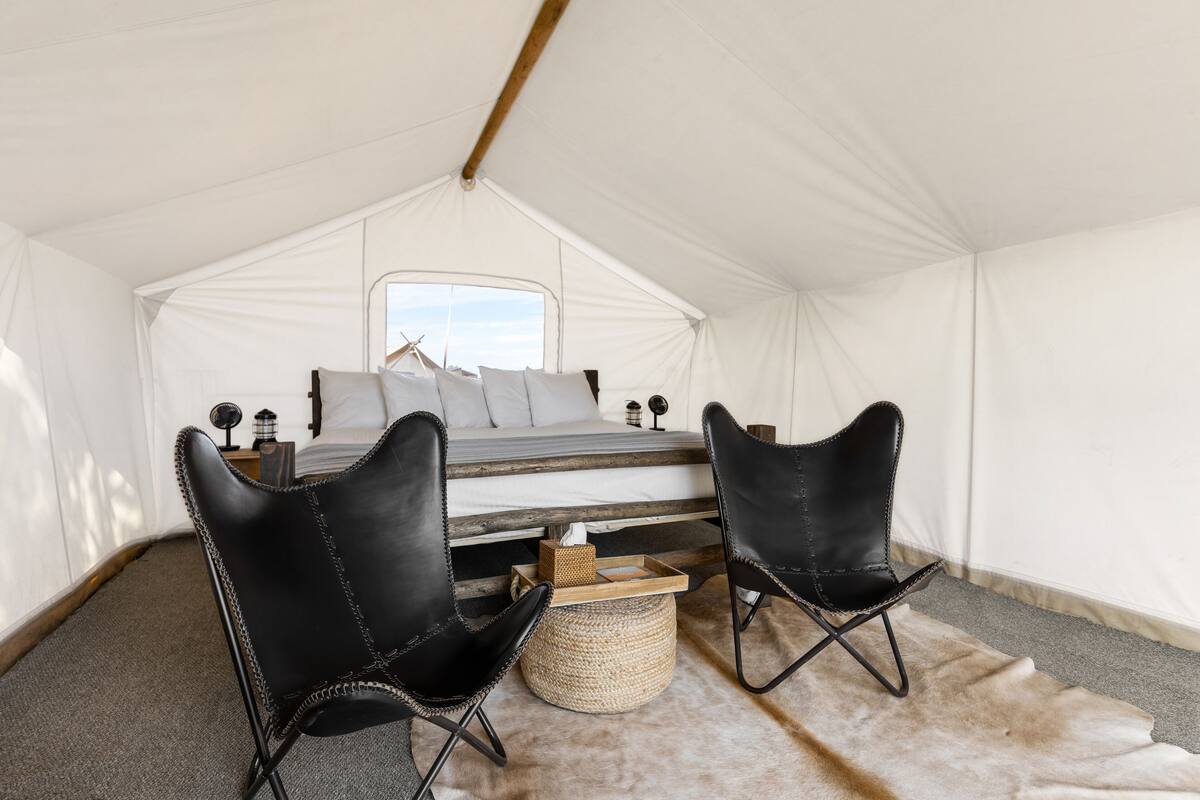 Une pièce aménagée avec une tente, un lit, deux chaises, une petite table et une fenêtre.