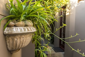 Garden - Kingfisher GuestHouse (Gqeberha (Port Elizabeth))
