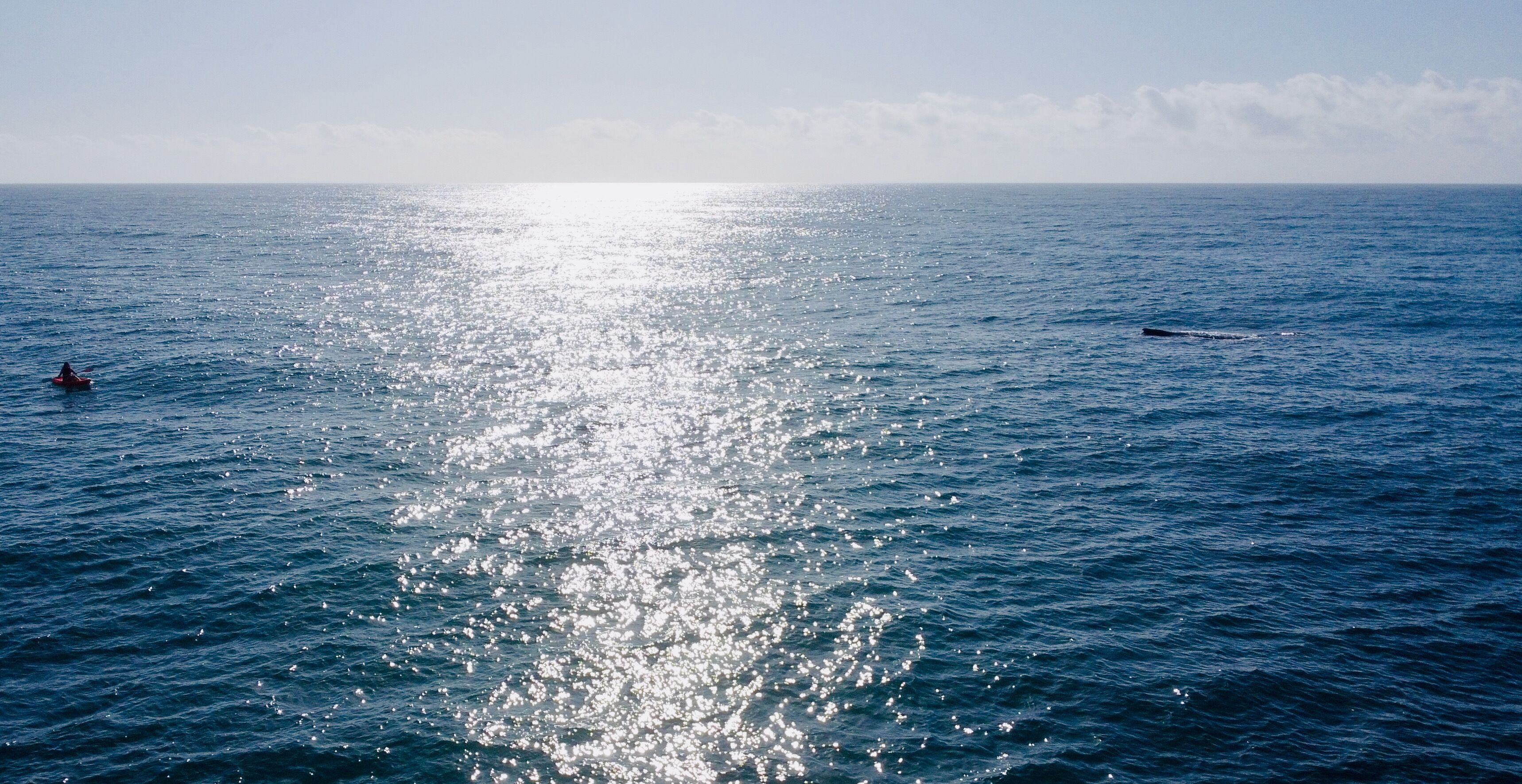 A vast ocean with sunlight reflecting off the water's surface.