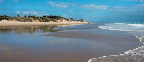 A beach with a sandy shore, calm waves, and a clear sky.