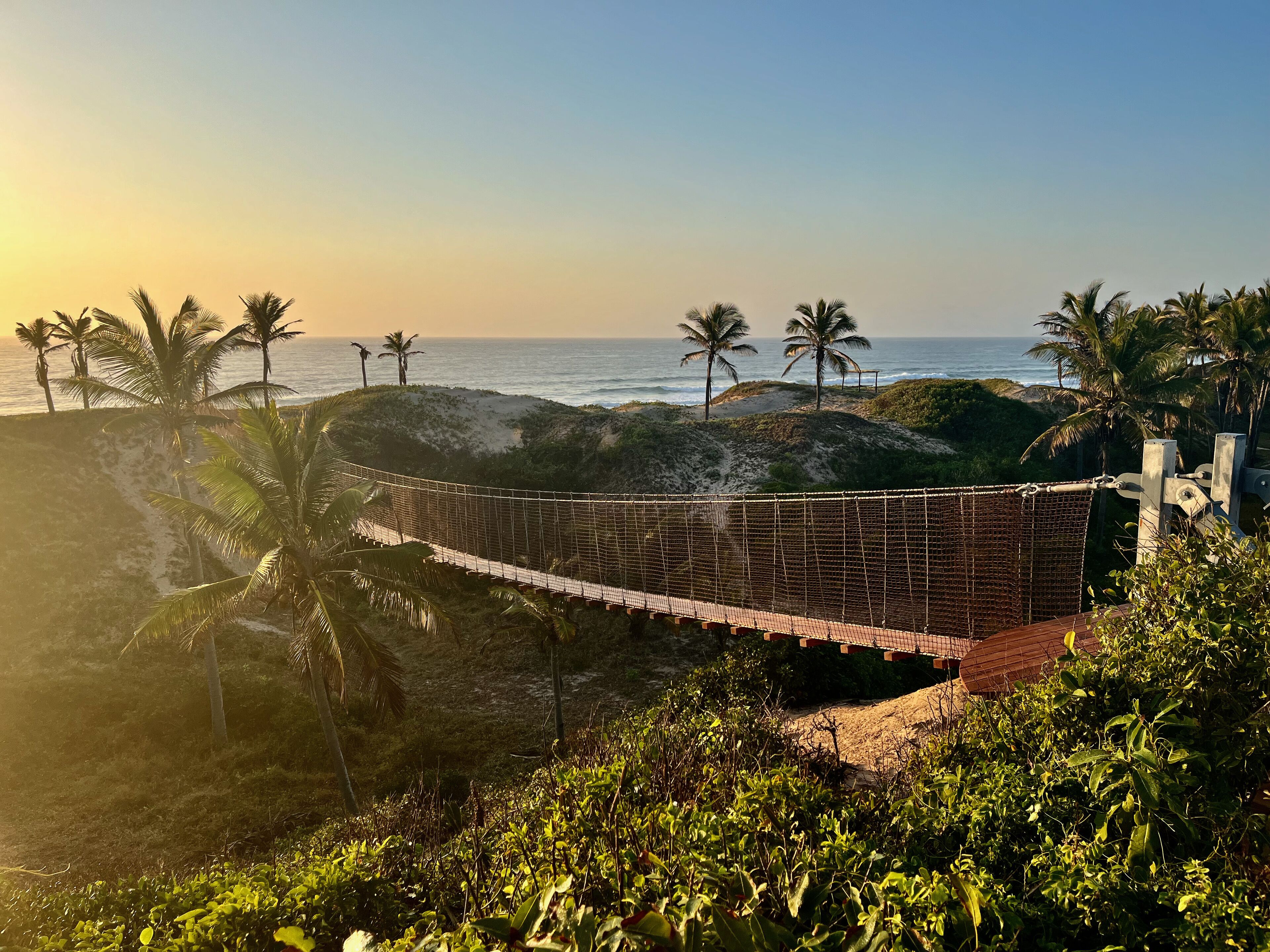 A beach view with a wooden walkway and palm trees.