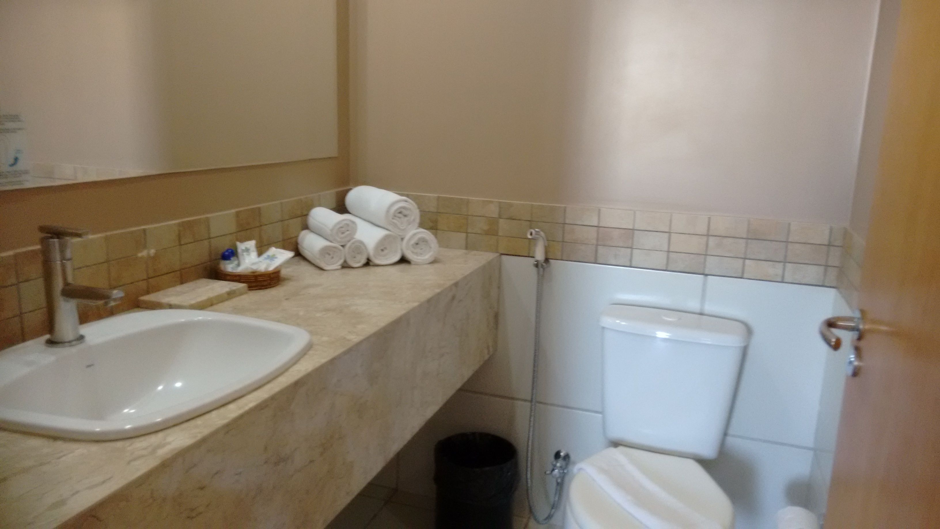 shower, free toiletries, hair dryer, bidet