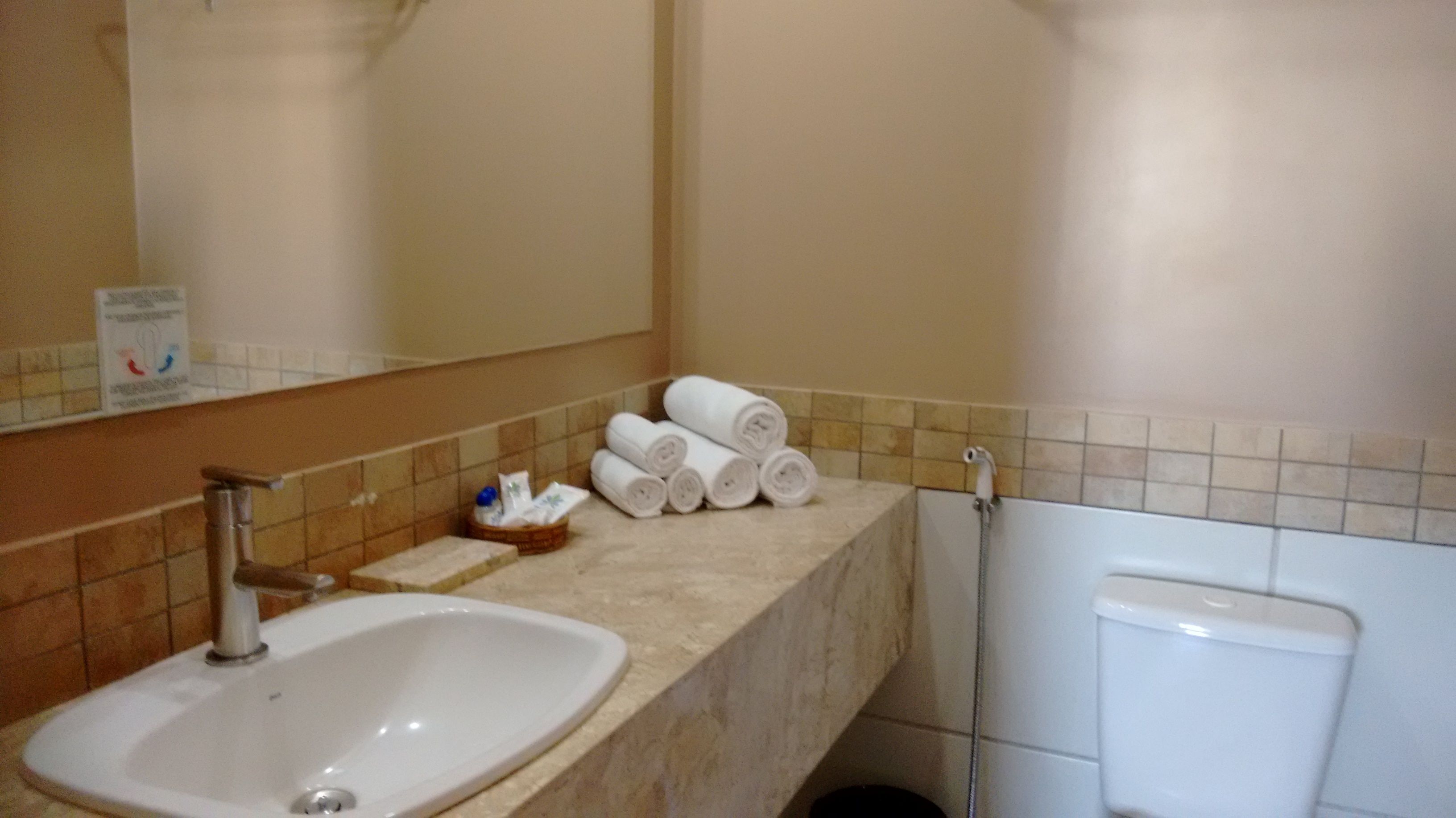 shower, free toiletries, hair dryer, bidet