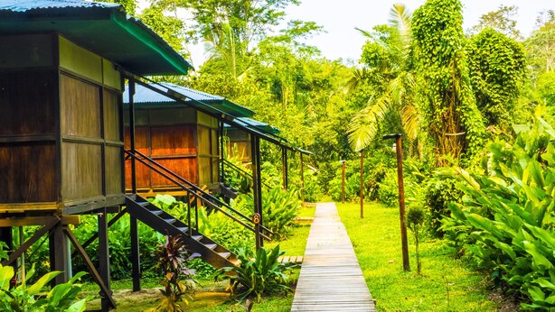 A wooden structure with a staircase leading to a covered area, surrounded by lush greenery and a pathway. - Amazon Planet (Tambopata)