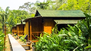 A row of wooden cabins with corrugated metal roofs, surrounded by lush greenery. - Amazon Planet (Tambopata)