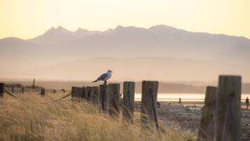A seagull perched on a wooden fence with a mountain range in the background.