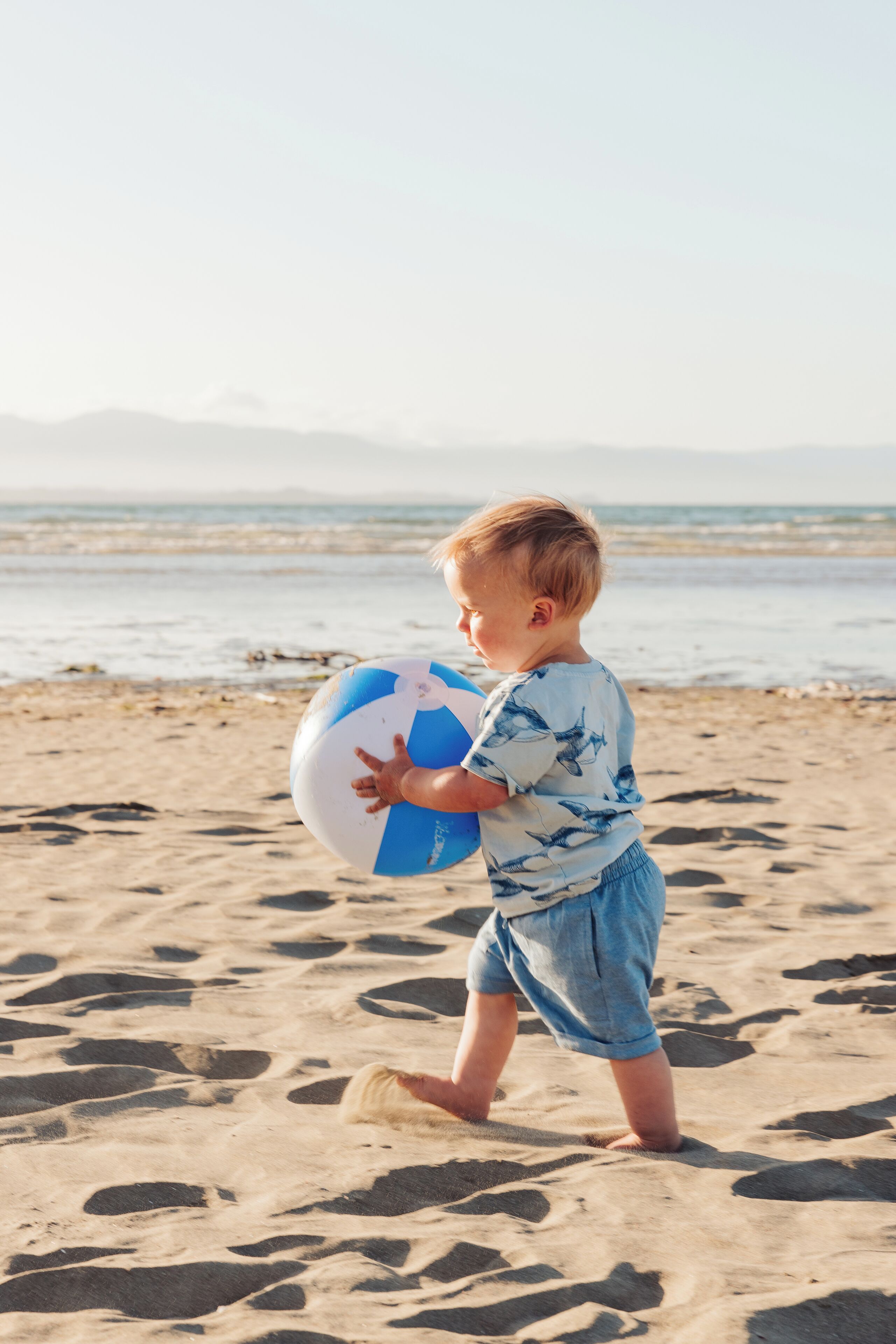 Gần bãi biển, bóng chuyền 