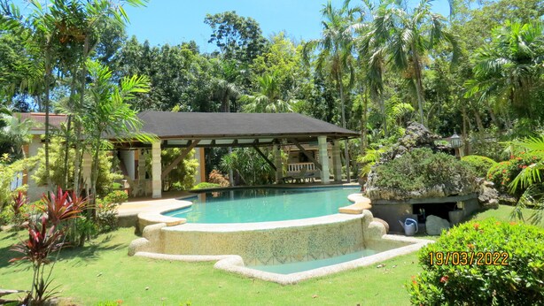 Ein Pool mit Steinrand, umgeben von üppiger Vegetation und einem Gazebo.