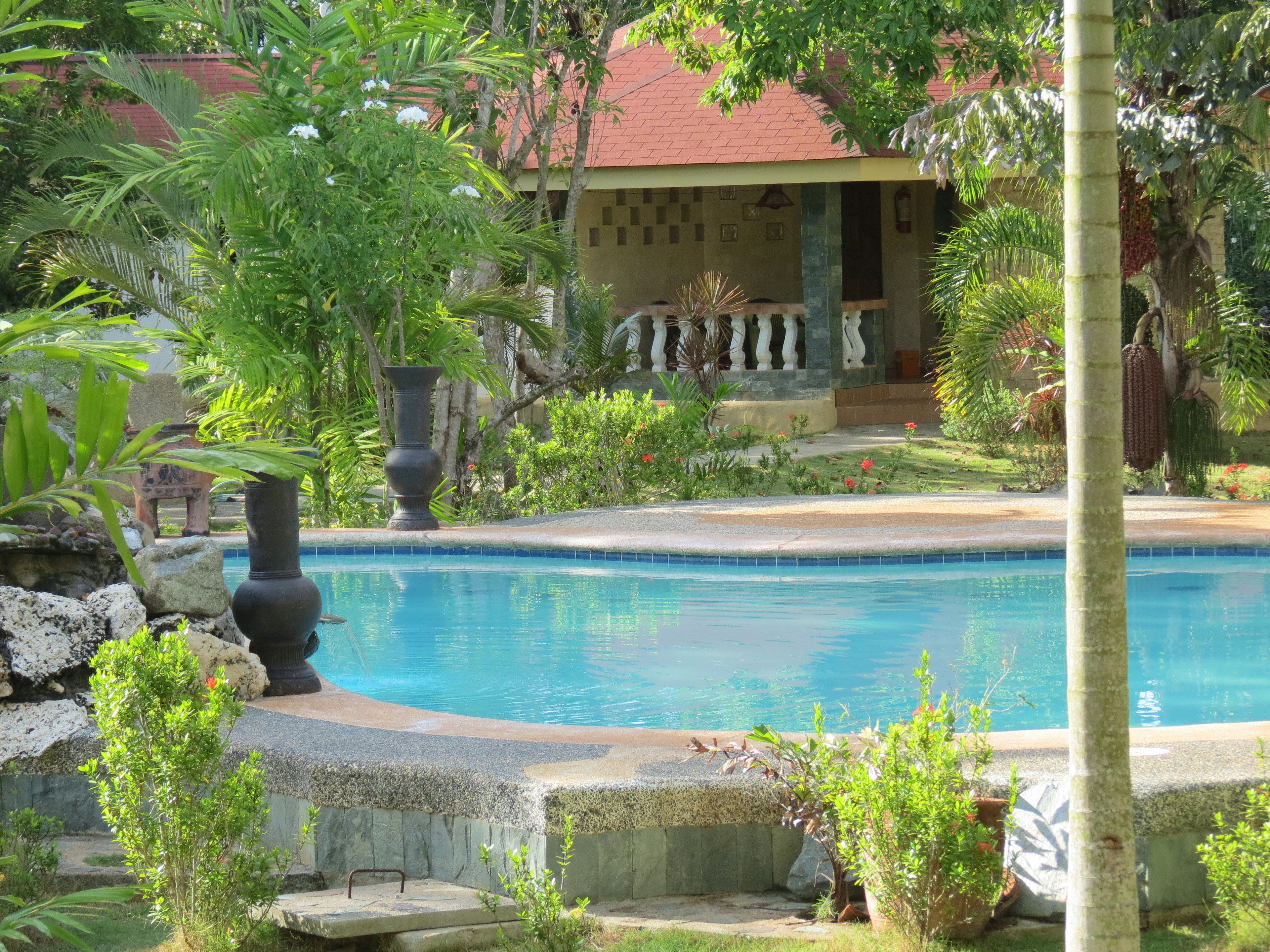 A swimming pool surrounded by tropical plants and a house with a red roof.