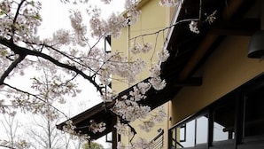 스파