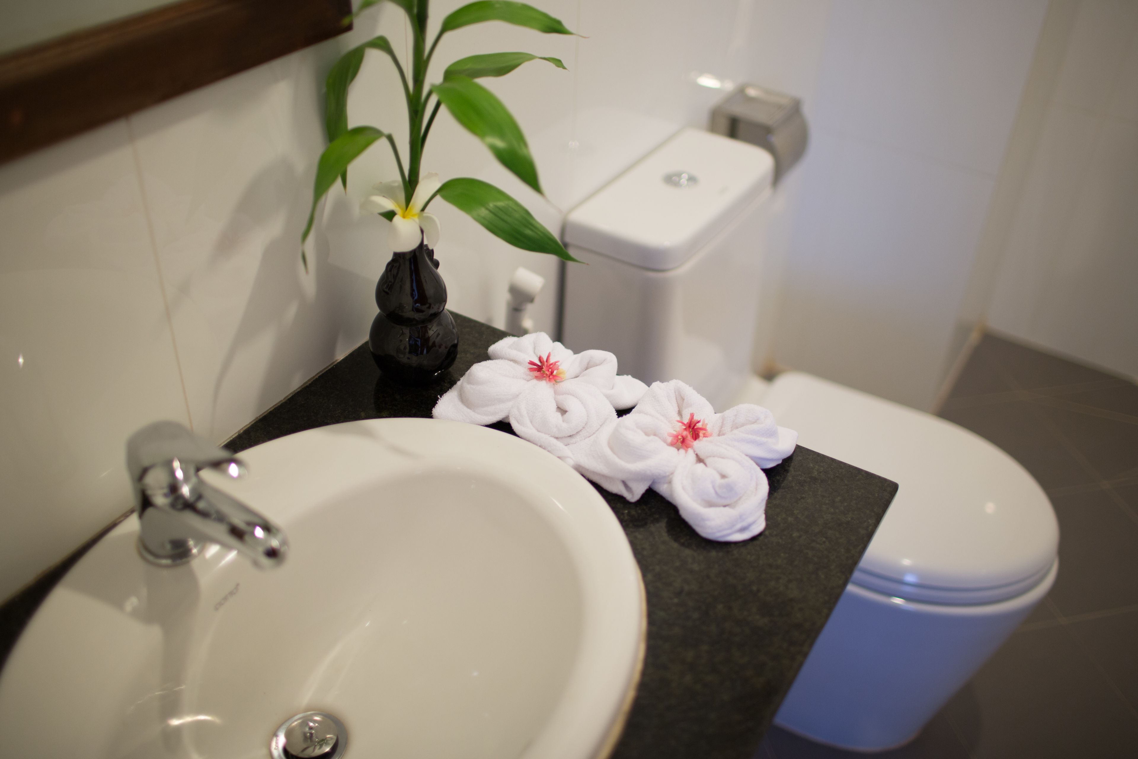 shower, free toiletries, hair dryer, slippers