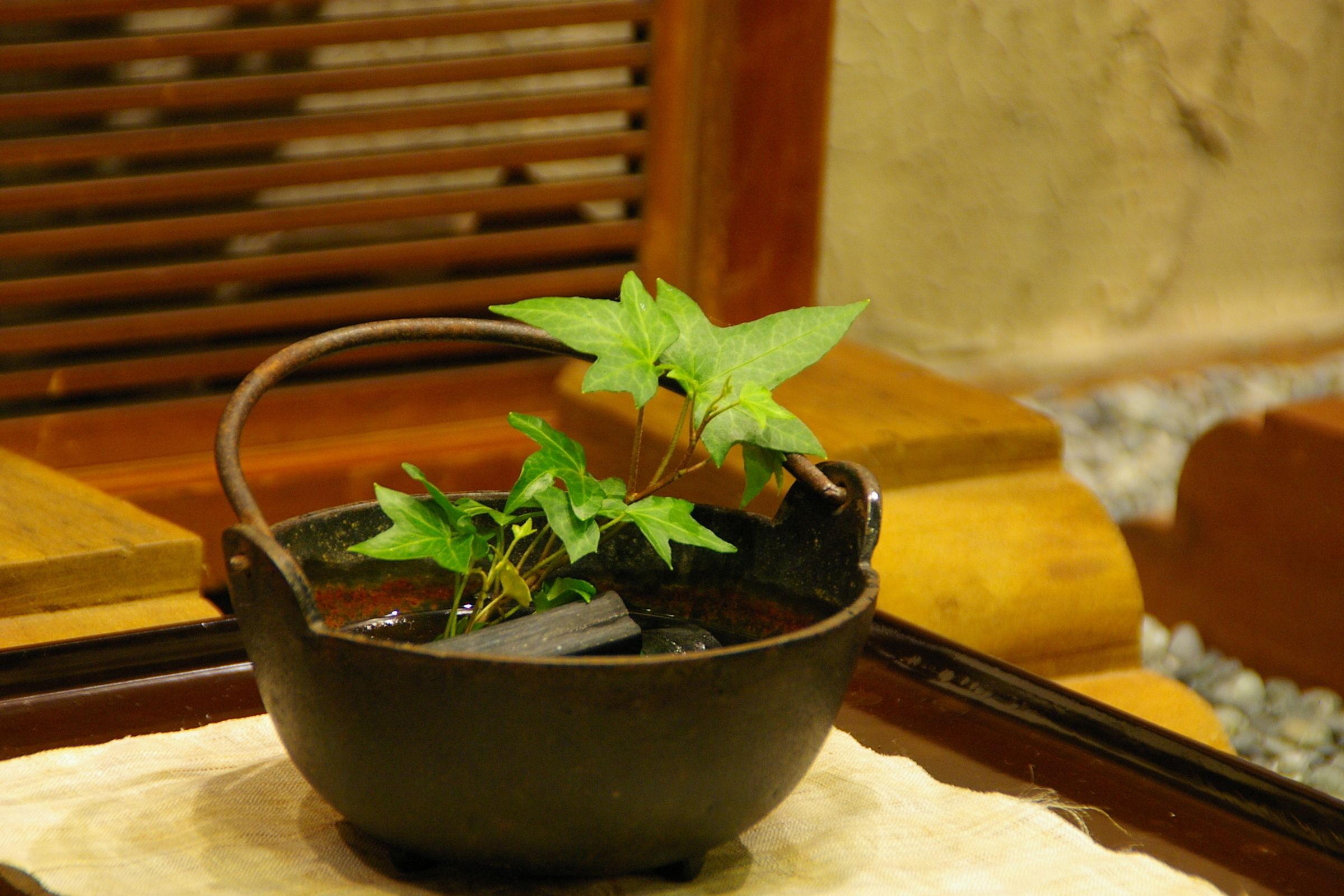 Un tazón de cerámica oscura con una planta sobre una mesa de madera.