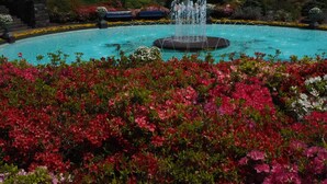 A swimming pool with a fountain, surrounded by lush, colorful flowers. - Fukushimakan (Hakone)