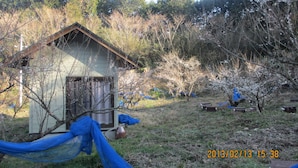 Un chalet en bois rustique, entouré d’arbres et d’arbustes.