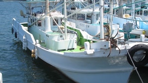 Un bateau blanc était amarré dans une marina, et on pouvait y voir des couleurs vertes et blanches, un volant et un pneu sur le quai.