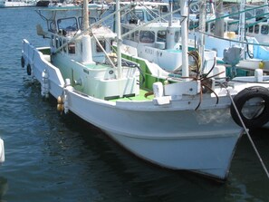 Boating - Nouka Minpaku Mirainouen (Tanabe)