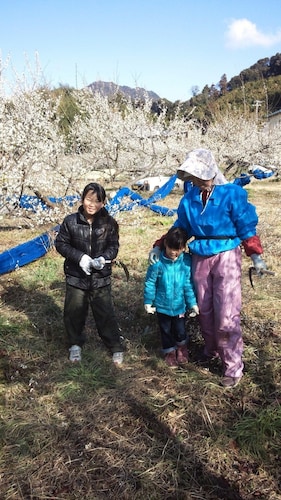 子供用の遊び場 - 屋外