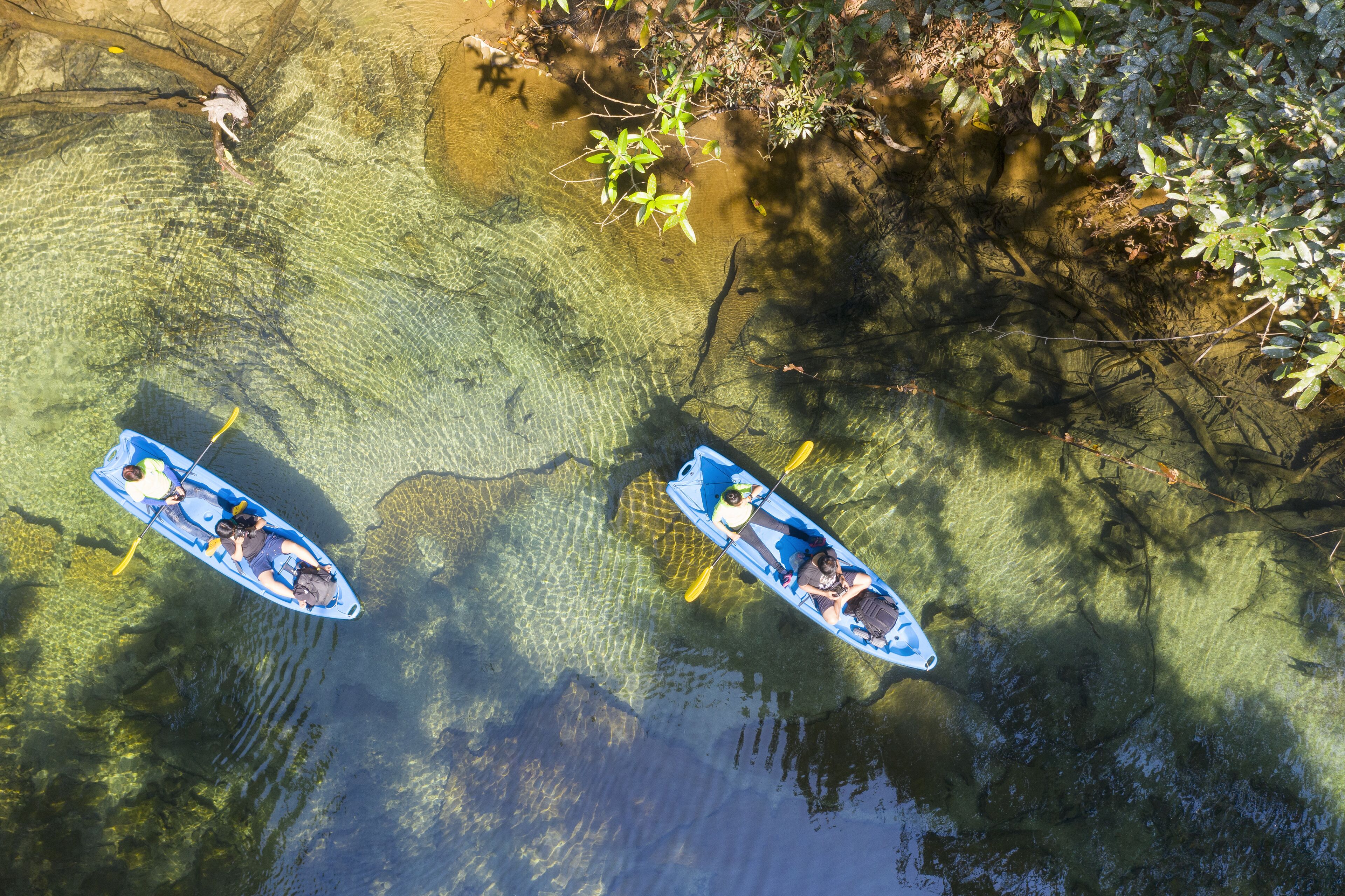 Two kayaks on a clear water body with surrounding vegetation.