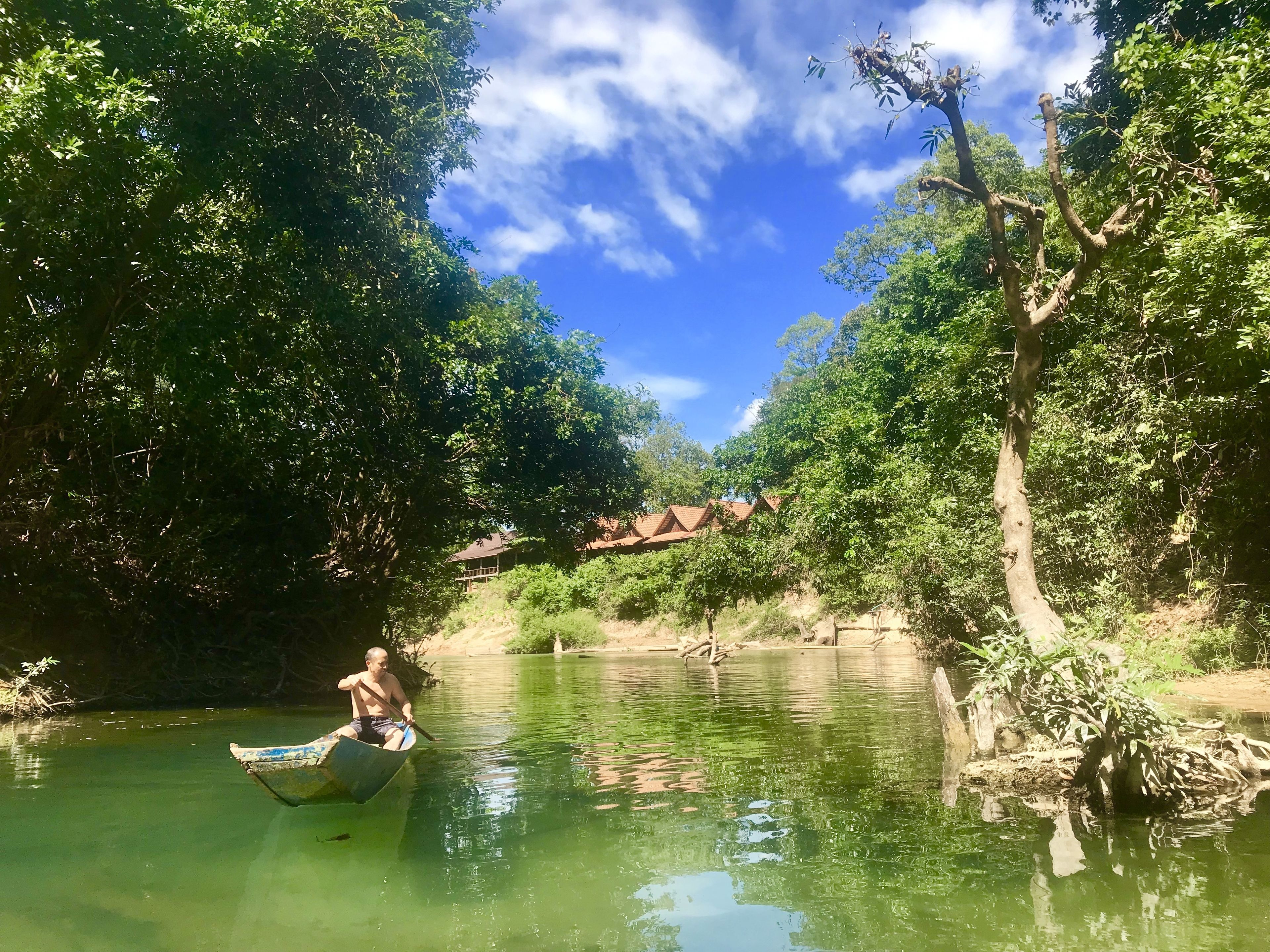 A river with a person rowing a boat, surrounded by dense greenery and trees.