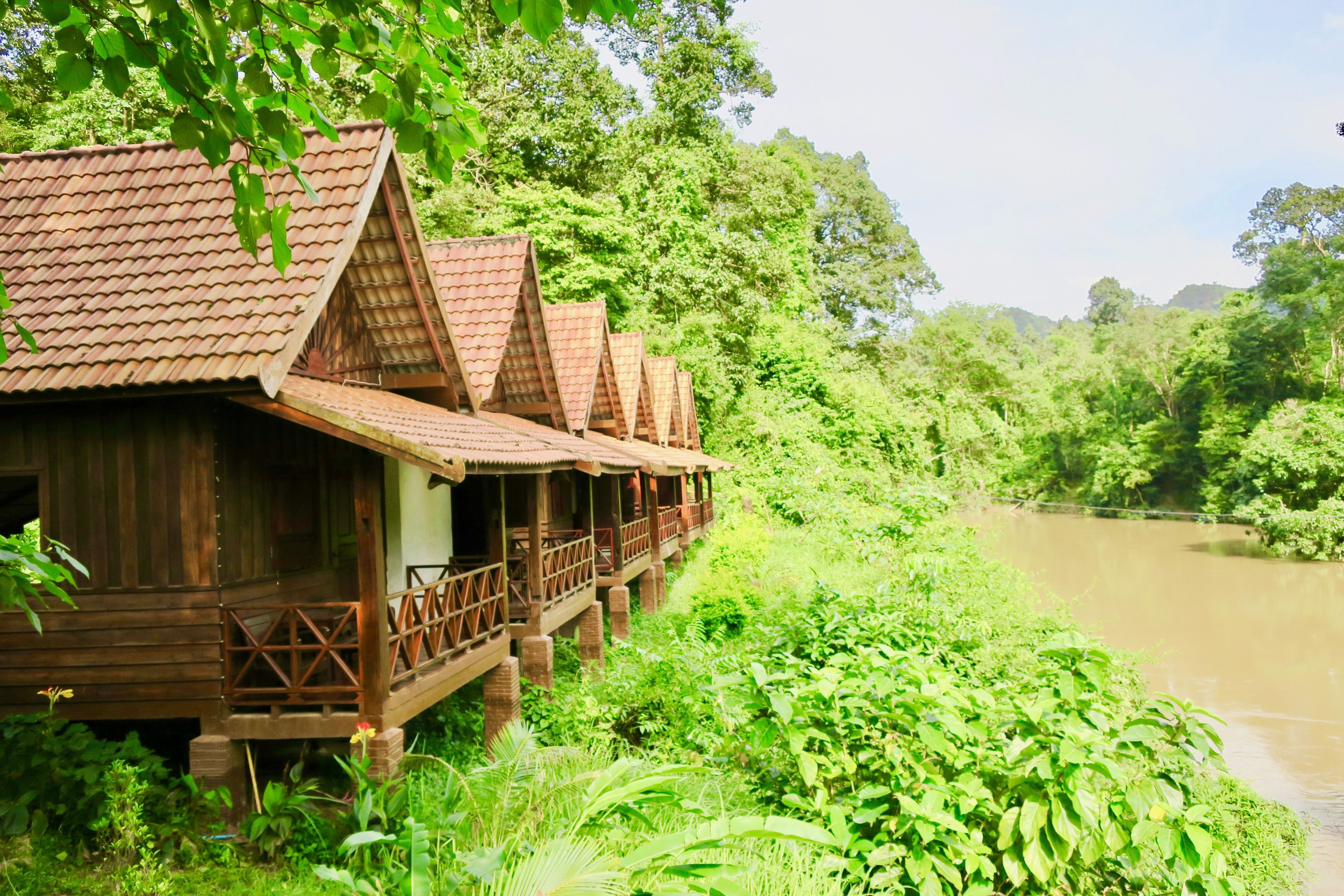 bungalow, river view (aircon) | view from room