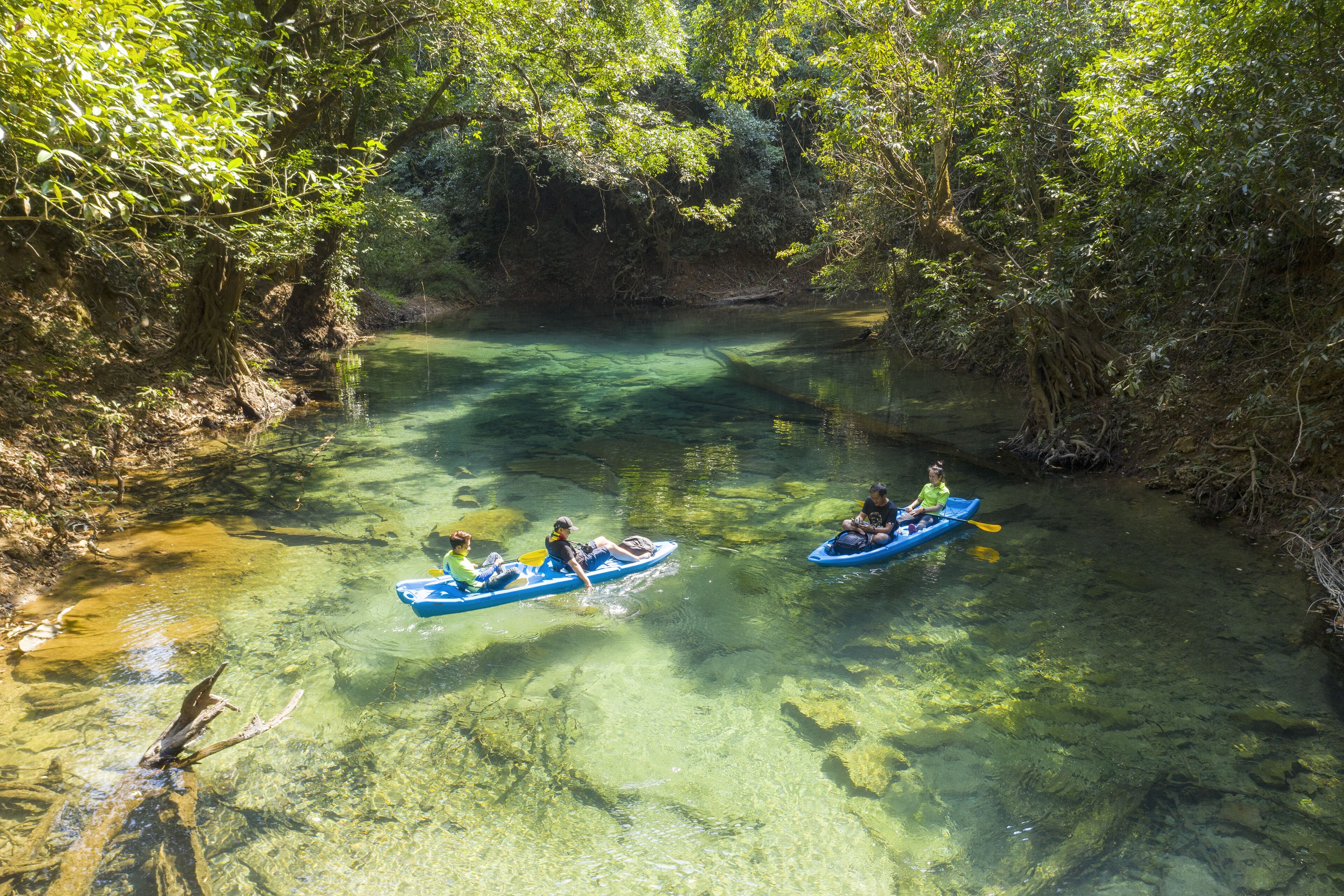 Two kayaks on a clear river surrounded by dense greenery.