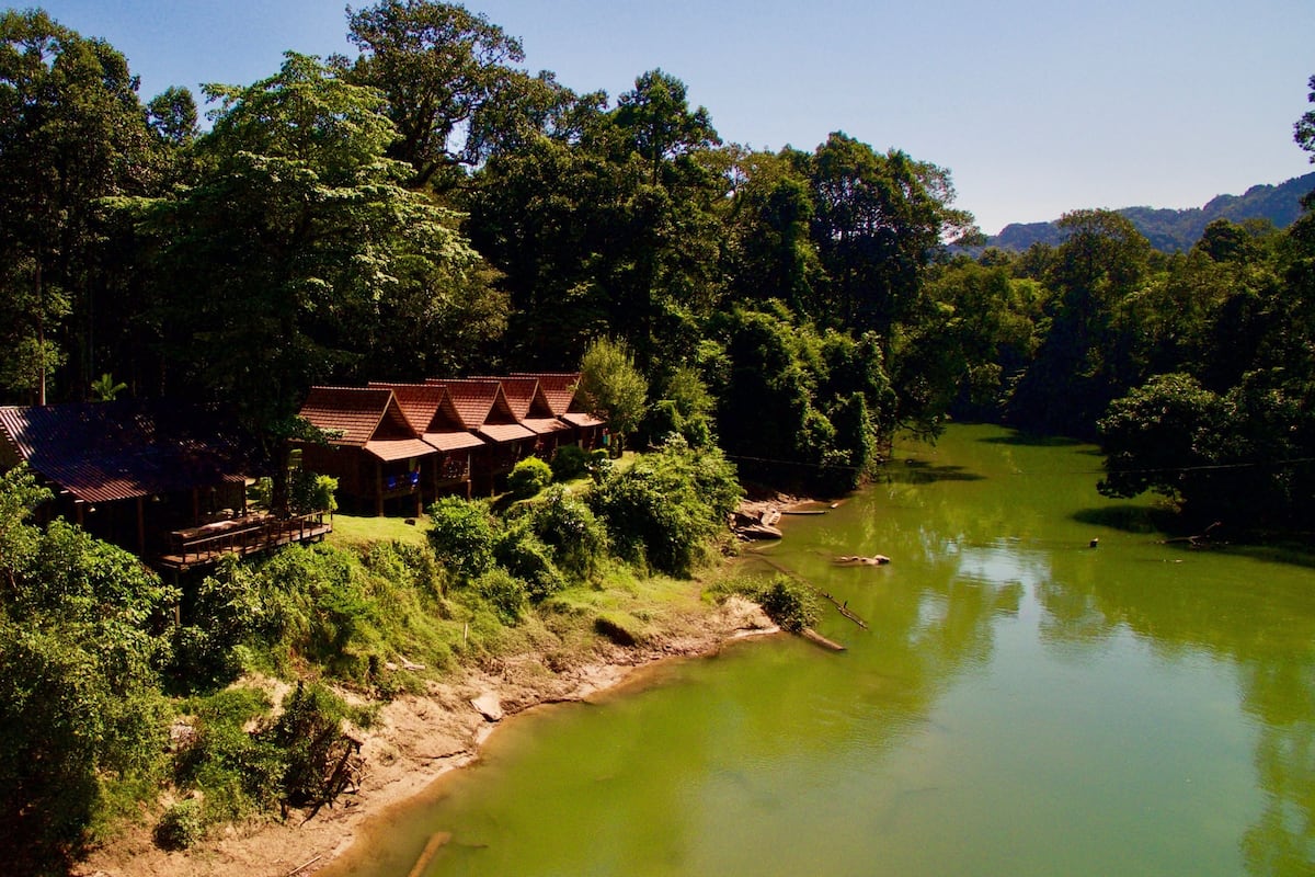 Un albergue a orillas del río con varias cabañas de madera, rodeado de un bosque denso y un río tranquilo.