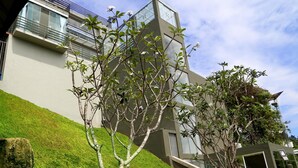 Un edificio moderno con techo plano, ventanas amplias y una pendiente cubierta de césped.