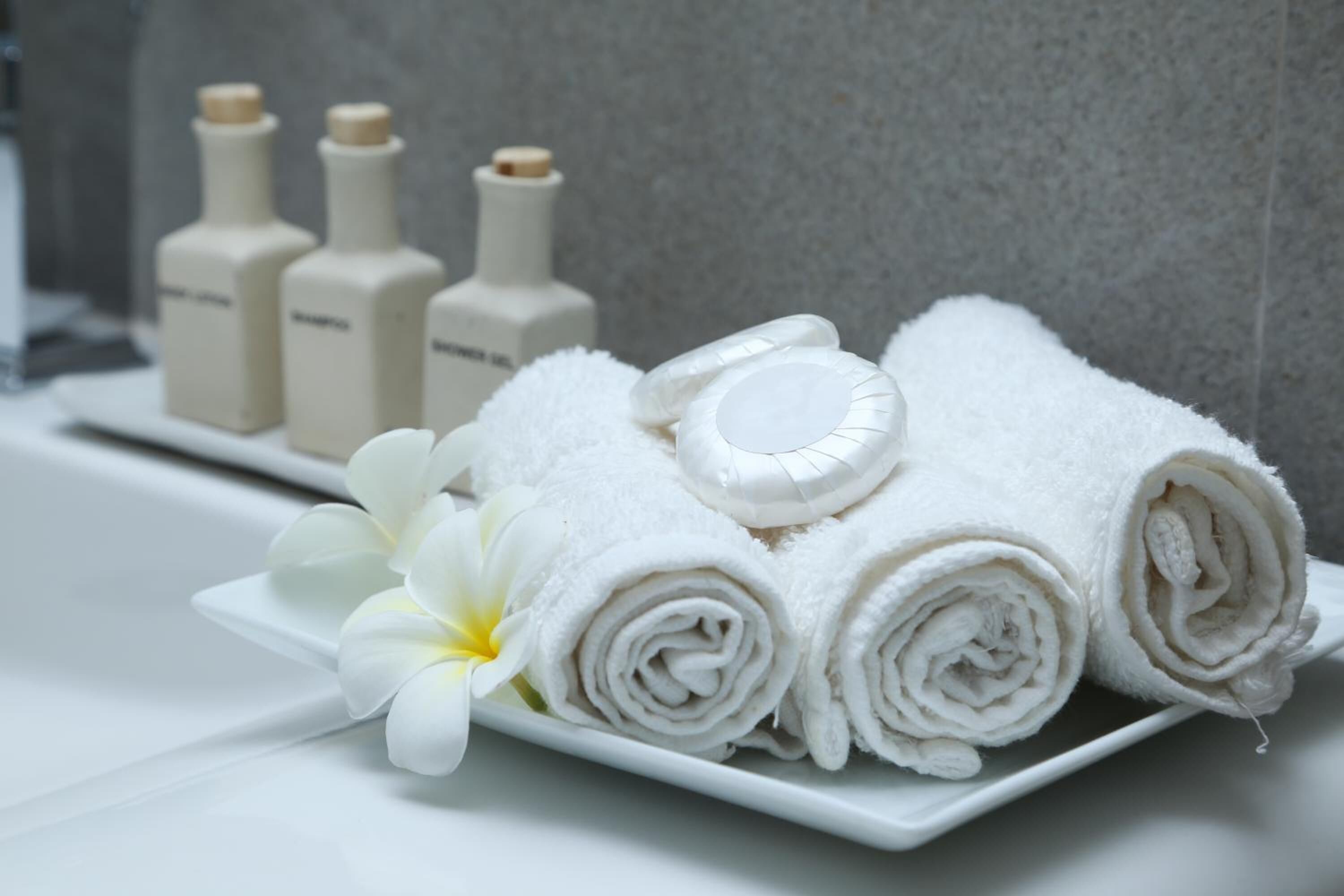 shower, rainfall showerhead, free toiletries, hair dryer