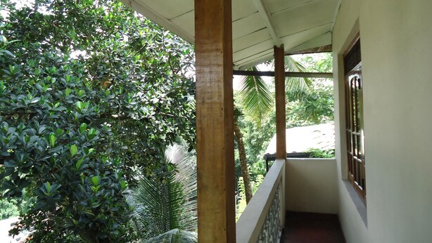 Un corredor cubierto con barandilla de madera, rodeado de abundante follaje verde.