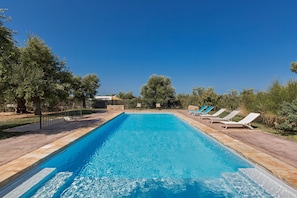 Outdoor pool, sun loungers - Casale Cimino (Ostuni)