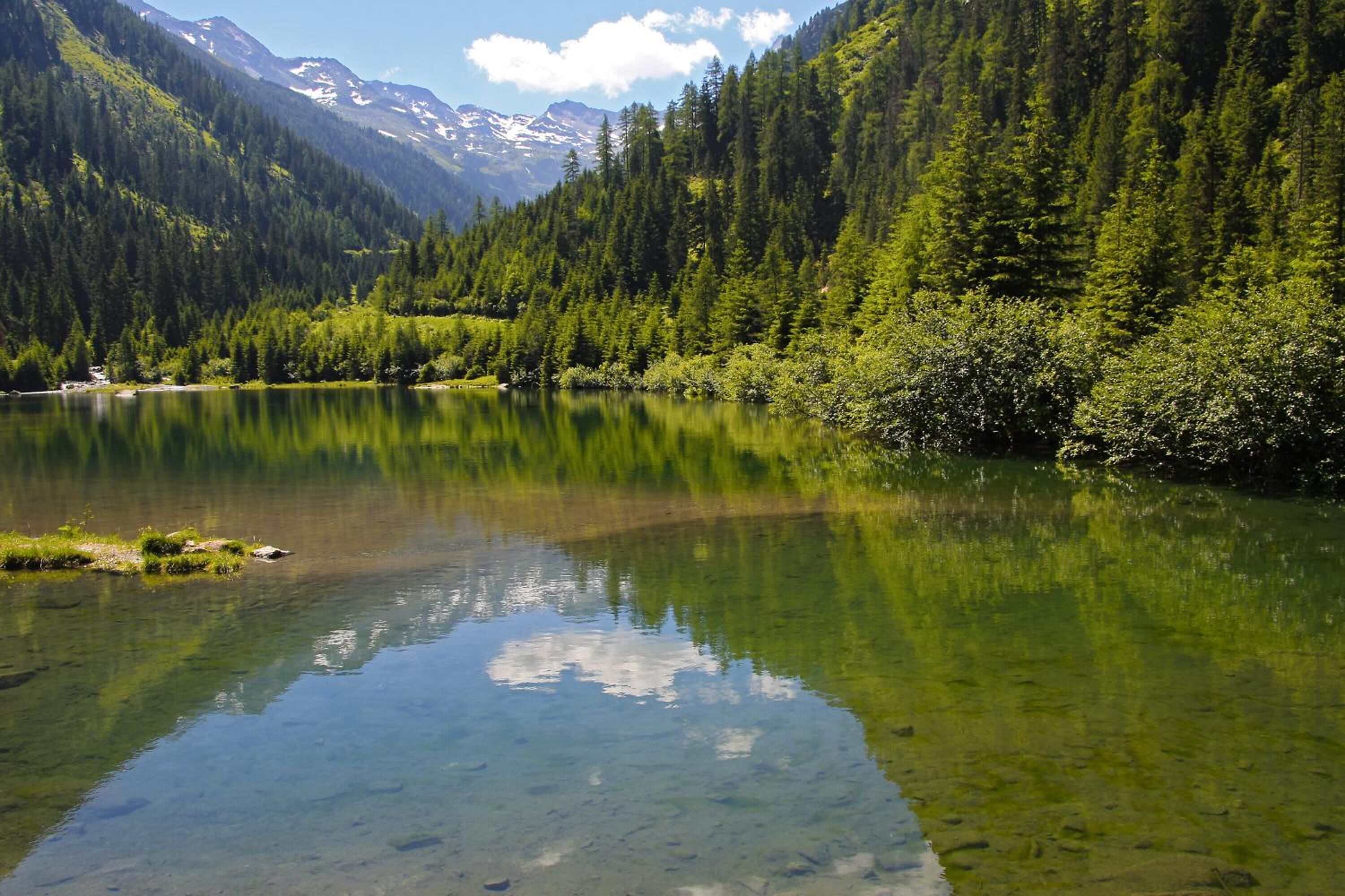 Un lago alpino limpido circondato da una fitta foresta e cime innevate.