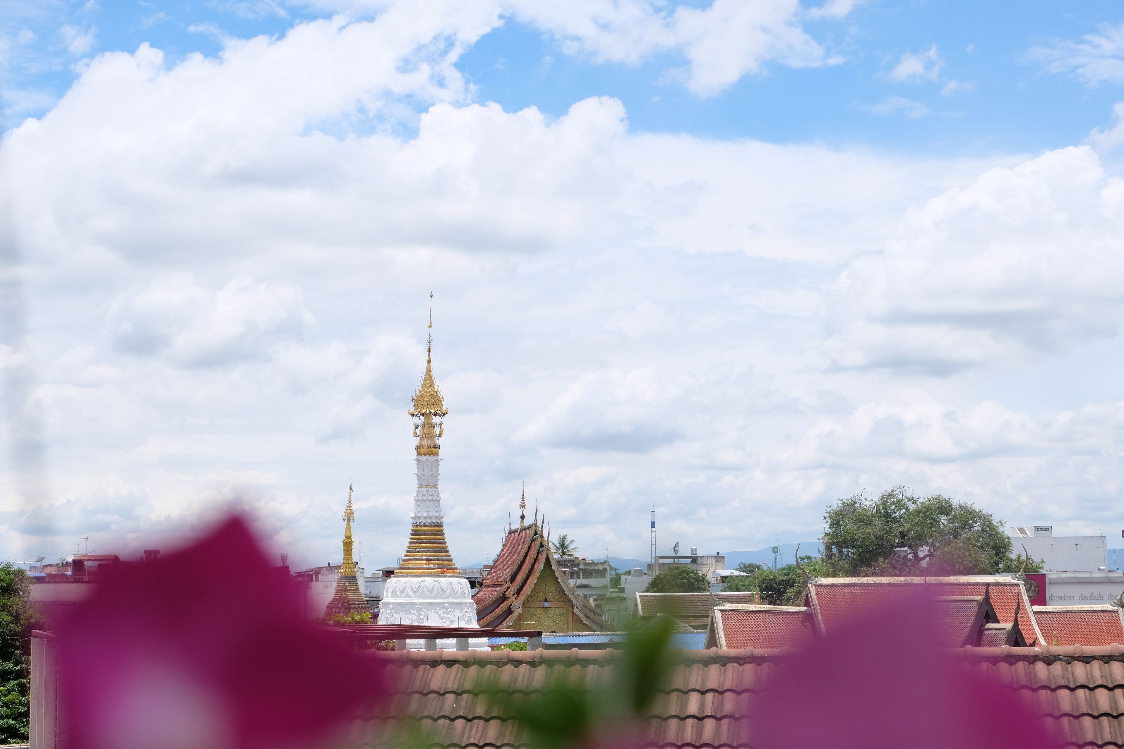 Foto - Chiang Mai Thai House,Thapae