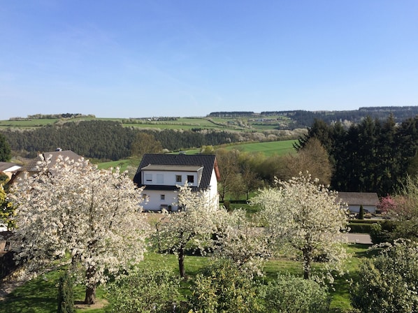 Una casa con fachada blanca y techo oscuro, rodeada de árboles en flor y un paisaje verde.