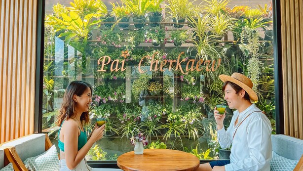 A couple seated at a wooden table in a room with a large window overlooking a lush indoor garden.