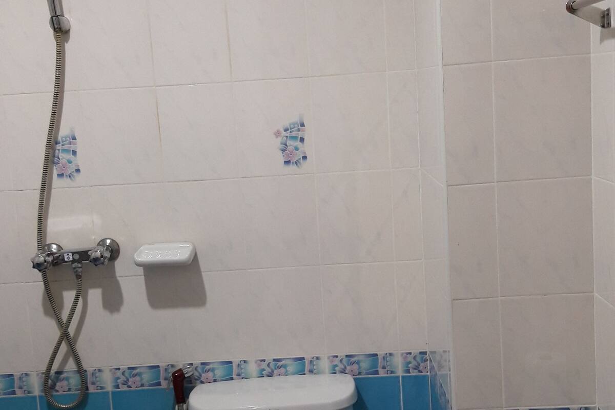 Standard Double Room, Private Bathroom | 욕실 | 샤워 시설, 무료 세면용품, 타월