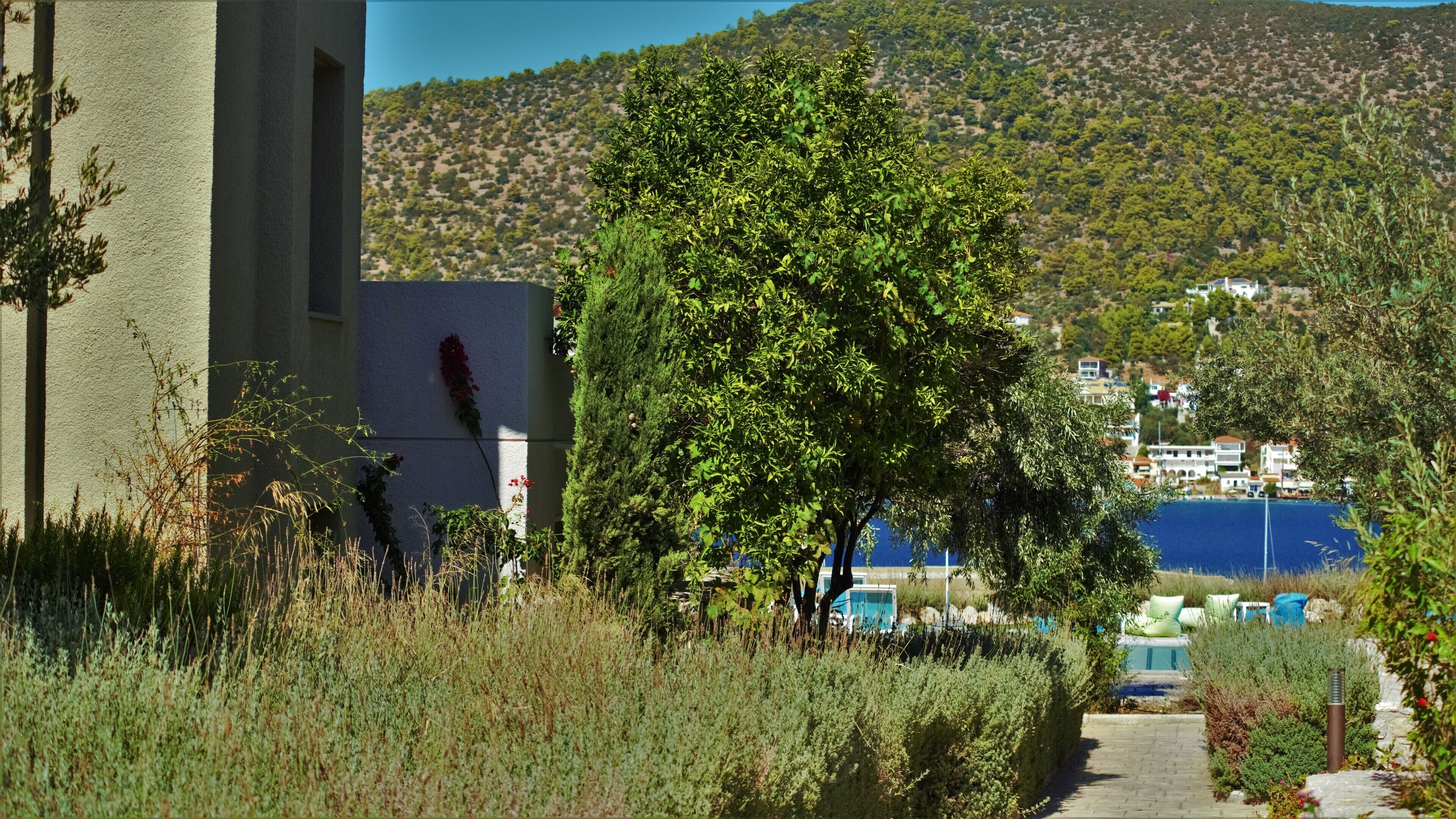 apartment, pool view | garden view