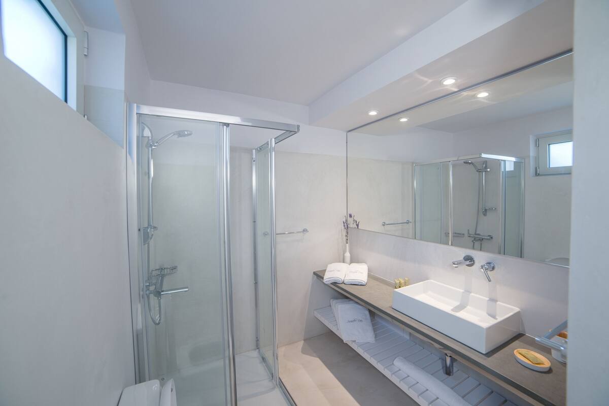 shower, designer toiletries, hair dryer, towels