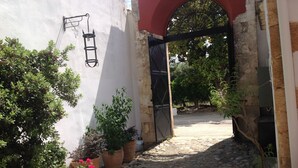 Un estrecho sendero de piedra conduce a la entrada de un edificio con una verja negra, rodeado de plantas en macetas y un muro blanco con un estante metálico.