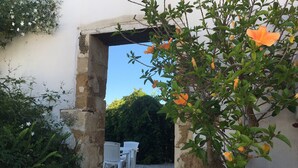 Un espacio al aire libre con sillas blancas y una mesa, rodeado de follaje y un sendero de piedra.