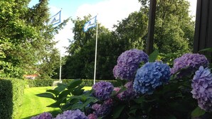 A garden with hydrangea flowers and flags. - Danhostel Kolding (Kolding)